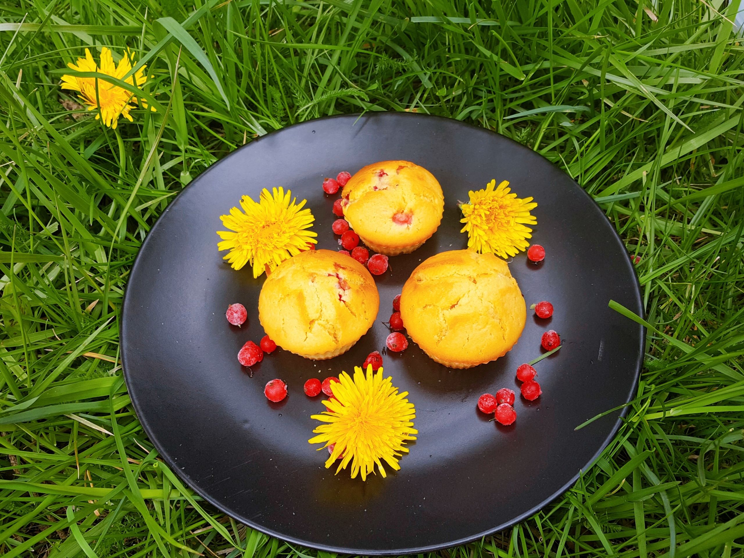 Lupiinijahu küpsetistes